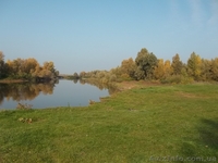 Убежище на берегу речки - <ro>Изображение</ro><ru>Изображение</ru> #6, <ru>Объявление</ru> #976694