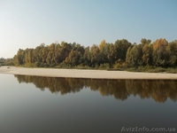 Убежище на берегу речки - <ro>Изображение</ro><ru>Изображение</ru> #7, <ru>Объявление</ru> #976694