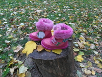 Сапоги для девочки(зима):23-28р-ры - <ro>Изображение</ro><ru>Изображение</ru> #2, <ru>Объявление</ru> #975965