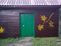 приватизированные дом, сад, огород (0,25га) на широкой улице - <ro>Изображение</ro><ru>Изображение</ru> #3, <ru>Объявление</ru> #991926