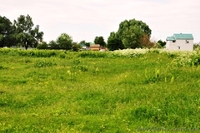 Рогозов - 10 соток за 2950$ в 35 км от Киева! - <ro>Изображение</ro><ru>Изображение</ru> #1, <ru>Объявление</ru> #988813