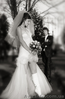 Фотограф Антоненко Анастасия - <ro>Изображение</ro><ru>Изображение</ru> #8, <ru>Объявление</ru> #992858