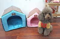 GLAMOURDOG гламурная одежда для собак - <ro>Изображение</ro><ru>Изображение</ru> #2, <ru>Объявление</ru> #989874