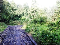 Отличные участки от 15 соток в с. Вишенки( Гнедин)! - <ro>Изображение</ro><ru>Изображение</ru> #1, <ru>Объявление</ru> #988810