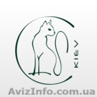 Кейтеринг в Киеве - <ro>Изображение</ro><ru>Изображение</ru> #1, <ru>Объявление</ru> #995068