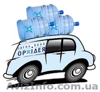 +38-044-353-71-71 - <ro>Изображение</ro><ru>Изображение</ru> #2, <ru>Объявление</ru> #1006564