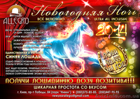 Новый год в Аллегро-Холл - <ro>Изображение</ro><ru>Изображение</ru> #1, <ru>Объявление</ru> #1005777