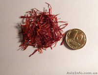 Шафран Иранский. Высший сорт. ОПТ - <ro>Изображение</ro><ru>Изображение</ru> #2, <ru>Объявление</ru> #1014151