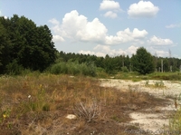 Участки по 25 соток под строительство жилого дома - <ro>Изображение</ro><ru>Изображение</ru> #2, <ru>Объявление</ru> #1021662