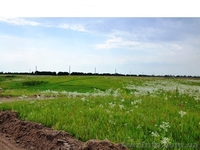 Дачные участки, с.Процев, Бориспольский р-н - <ro>Изображение</ro><ru>Изображение</ru> #3, <ru>Объявление</ru> #1021659