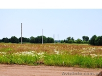 Дачные участки, с.Процев, Бориспольский р-н - <ro>Изображение</ro><ru>Изображение</ru> #4, <ru>Объявление</ru> #1021659