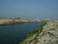 Дачные участки в садовом кооперативе "Эльвира" район Осокорки - <ro>Изображение</ro><ru>Изображение</ru> #5, <ru>Объявление</ru> #1021653