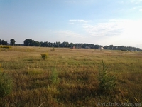 Продажа дачных бюджетных земельных участков - <ro>Изображение</ro><ru>Изображение</ru> #1, <ru>Объявление</ru> #1019692