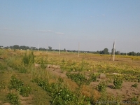 Продажа дачных бюджетных земельных участков - <ro>Изображение</ro><ru>Изображение</ru> #2, <ru>Объявление</ru> #1019692