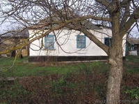 Срочно продам дом и участок земли в с.Ревное Бориспольского района - <ro>Изображение</ro><ru>Изображение</ru> #1, <ru>Объявление</ru> #1027646