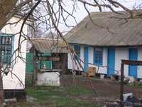 Срочно продам дом и участок земли в с.Ревное Бориспольского района - <ro>Изображение</ro><ru>Изображение</ru> #2, <ru>Объявление</ru> #1027646