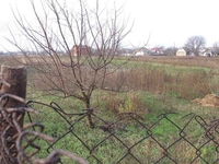 Срочно продам дом и участок земли в с.Ревное Бориспольского района - <ro>Изображение</ro><ru>Изображение</ru> #4, <ru>Объявление</ru> #1027646