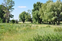 Земельный участок, Лениновка - <ro>Изображение</ro><ru>Изображение</ru> #2, <ru>Объявление</ru> #1019008