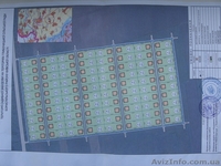 Продажа дачных бюджетных земельных участков - <ro>Изображение</ro><ru>Изображение</ru> #3, <ru>Объявление</ru> #1019692