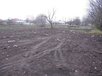 Продам участок в Борисполе - <ro>Изображение</ro><ru>Изображение</ru> #6, <ru>Объявление</ru> #1019679