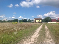 Продам участки, с.Кирово Бориспольский р-н - <ro>Изображение</ro><ru>Изображение</ru> #1, <ru>Объявление</ru> #1019012