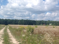 Продам участки, с.Кирово Бориспольский р-н - <ro>Изображение</ro><ru>Изображение</ru> #3, <ru>Объявление</ru> #1019012