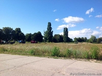 Продам земельный участок 30 га, село Гора, Бориспольский район - <ro>Изображение</ro><ru>Изображение</ru> #2, <ru>Объявление</ru> #1025121