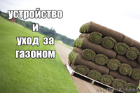 Устройство газона, рулонный газон. Уход за газоном - <ro>Изображение</ro><ru>Изображение</ru> #1, <ru>Объявление</ru> #1047680