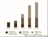 Би-Лурон – натуральное средство для восстановления суставов - <ro>Изображение</ro><ru>Изображение</ru> #1, <ru>Объявление</ru> #1036735