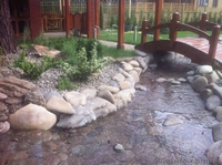 Красивое озеленение Ваших участков в Киеве - <ro>Изображение</ro><ru>Изображение</ru> #3, <ru>Объявление</ru> #1061854