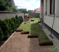 Устройство газона, уход за газоном - <ro>Изображение</ro><ru>Изображение</ru> #1, <ru>Объявление</ru> #1049285