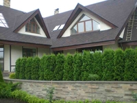 Металлопластиковые окна в Киеве. - <ro>Изображение</ro><ru>Изображение</ru> #3, <ru>Объявление</ru> #1065140