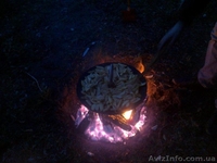 Cковорода из жиска бороны - <ro>Изображение</ro><ru>Изображение</ru> #4, <ru>Объявление</ru> #1073099