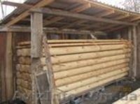 Оцилиндрованное бревно, сруб, колода - <ro>Изображение</ro><ru>Изображение</ru> #2, <ru>Объявление</ru> #1068957