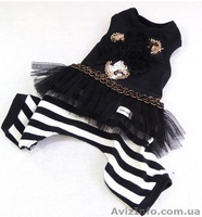 Одежда и товары для собак Dogpose - <ro>Изображение</ro><ru>Изображение</ru> #4, <ru>Объявление</ru> #1069427