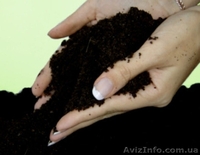 Продам торф разных видов (сертифицирован) - <ro>Изображение</ro><ru>Изображение</ru> #1, <ru>Объявление</ru> #1067698