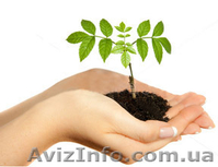 Продам торф разных видов (сертифицирован) - <ro>Изображение</ro><ru>Изображение</ru> #2, <ru>Объявление</ru> #1067698