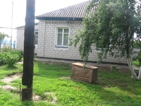 Продам дом в с. Мартусовка, Бориспольский р-н - <ro>Изображение</ro><ru>Изображение</ru> #1, <ru>Объявление</ru> #1097353