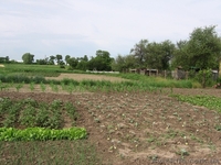 Продам дом в с. Мартусовка, Бориспольский р-н - <ro>Изображение</ro><ru>Изображение</ru> #5, <ru>Объявление</ru> #1097353