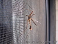 Москитные сетки, цена от 149 грн. Акция, скидки! - <ro>Изображение</ro><ru>Изображение</ru> #1, <ru>Объявление</ru> #1092522