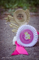 Амстафф с Питомника  - <ro>Изображение</ro><ru>Изображение</ru> #2, <ru>Объявление</ru> #1089752