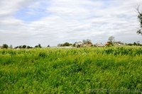 Продам 8 соток в с. Рогозов Бориспольский р-н - <ro>Изображение</ro><ru>Изображение</ru> #1, <ru>Объявление</ru> #1089512