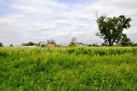 Продам 8 соток в с. Рогозов Бориспольский р-н - <ro>Изображение</ro><ru>Изображение</ru> #2, <ru>Объявление</ru> #1089512