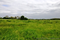 Продам 8 соток в с. Рогозов Бориспольский р-н - <ro>Изображение</ro><ru>Изображение</ru> #3, <ru>Объявление</ru> #1089512