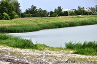 Продам 8 соток в с. Рогозов Бориспольский р-н - <ro>Изображение</ro><ru>Изображение</ru> #6, <ru>Объявление</ru> #1089512