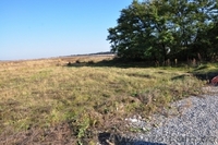 Продам участок 15 соток в c. Процев, Бориспольского р-на - <ro>Изображение</ro><ru>Изображение</ru> #4, <ru>Объявление</ru> #1097348