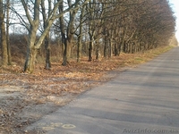 Продам участок в селе Петровское, Бориспольский район, 6 соток - <ro>Изображение</ro><ru>Изображение</ru> #1, <ru>Объявление</ru> #1083932