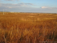 Продам участок в селе Петровское, Бориспольский район.  - <ro>Изображение</ro><ru>Изображение</ru> #4, <ru>Объявление</ru> #1021194