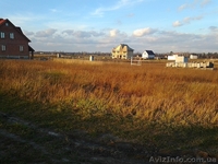 Продам участок в селе Петровское, Бориспольский район.  - <ro>Изображение</ro><ru>Изображение</ru> #8, <ru>Объявление</ru> #1021194