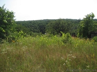 Земельный участок в 20 км от Киева под строительство дома ! - <ro>Изображение</ro><ru>Изображение</ru> #2, <ru>Объявление</ru> #1095820